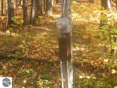 1733 Richard Dr, West Branch, MI 48661 - photo 4