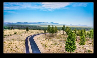 Edited Drone Image 1
