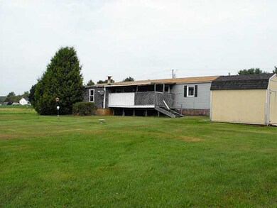 Back Yard.