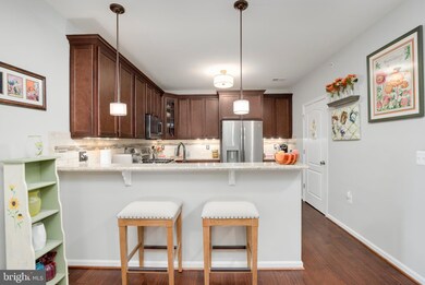 41900 Metamorphic Square unit 403, Aldie, VA 20105 - photo 6