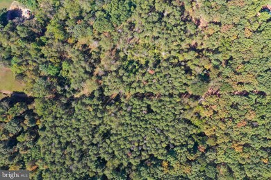 0 Waylynn Rd unit WVHS113242, Augusta, WV 26704 - photo 7