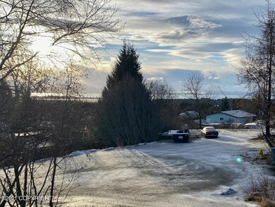 View from the living room window
