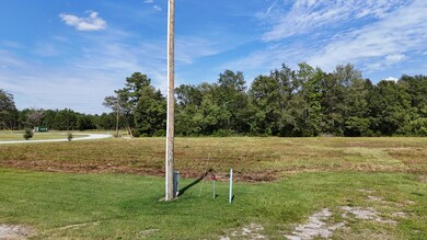 TBD 5 Woodrow Ln, Loris, SC 29569 - photo 5