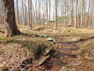 176 Beaver Lake Dr, West Union, SC 29696 - photo 5