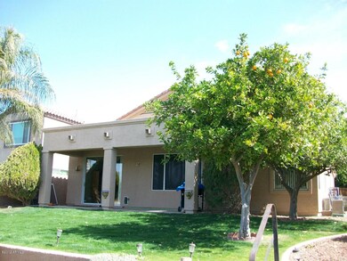 back yard & covered patio