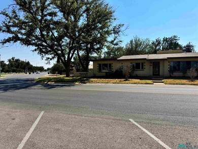 1009 E Riverside Dr, Carlsbad, NM 88220 - photo 4