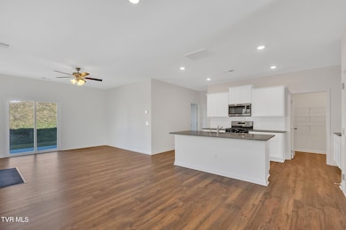 82 Ollie St, Johnson City, TN 37615 - photo 2