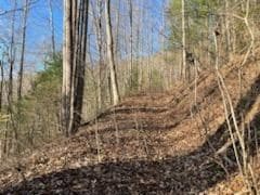 528 Early Deitz Rd, Sylva, NC 28779 - photo 5