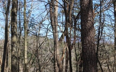 Additional View