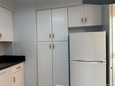 291 Manville Rd unit 2D, Pleasantville, NY 10570 - photo 7