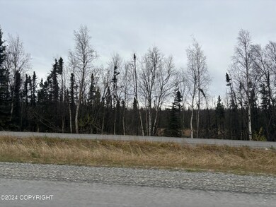 2450 S Knik Goose Bay Rd, Wasilla, AK 99654 - photo 7