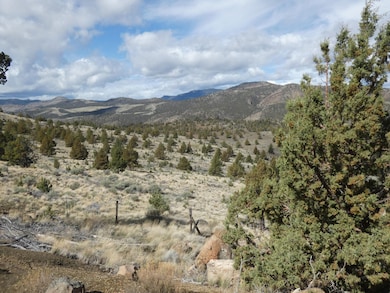 16220 Lost Coyote Ln, Mitchell, OR 97750 - photo 3