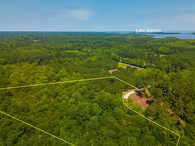 1 Murphy Bay Dr, Cross, SC 29436 - photo 3