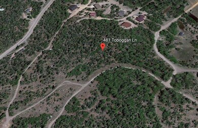 481 Toboggan #3