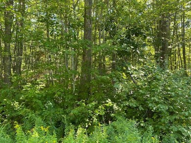 IMG_1163