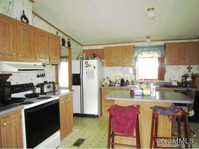 167 -173 Goughes Branch Rd, Leicester, NC 28748 - photo 4