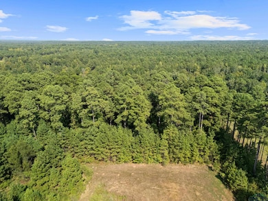 Drone / aerial view of a heavily wooded area