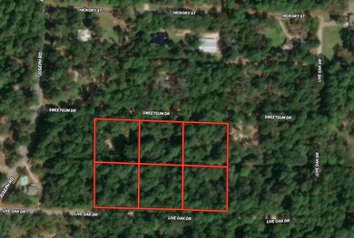 23495 Sweet Gum Dr, Hockley, TX 77447 - photo 2