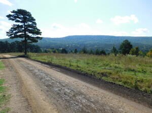 0 Lot 99 Round Mountain Estates unit 144440, Harrison, AR 72601 - photo 7