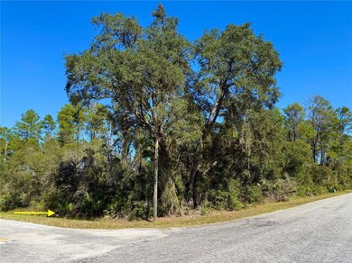 LOT 11 Tulip Ave, Eustis, FL 32736 - photo 7