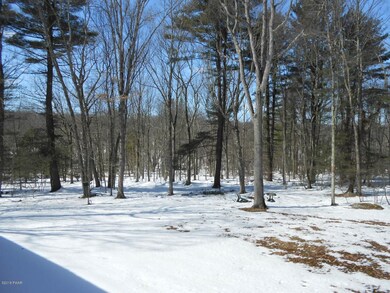 103 Water View Dr, Hawley, PA 18428 - photo 4