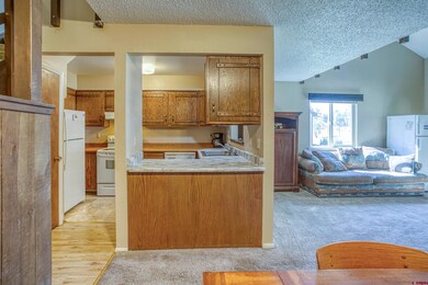 217 Pinon Causeway unit 3025, Pagosa Springs, CO 81147 - photo 6