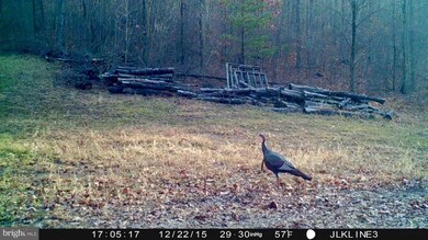 8903 Corner Rd, Hancock, MD 21750 - photo 4