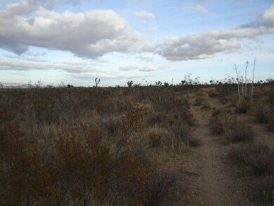 00 SE Bob Gap Rd, Llano, CA 93544 - photo 6