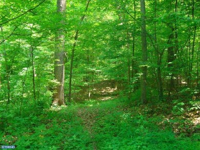 Lot 18 Stover Mill Rd, Perkasie, PA 18944 - photo 4