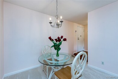 1505 Largo Rd unit 204, Henrico, VA 23238 - photo 6