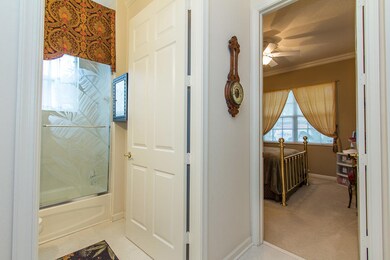 Springview-2