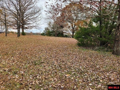 Lots 118 & 119 Surrey Dr, Lakeview, AR 72642 - photo 2