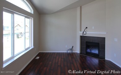 Gas Fireplace with custom surround!