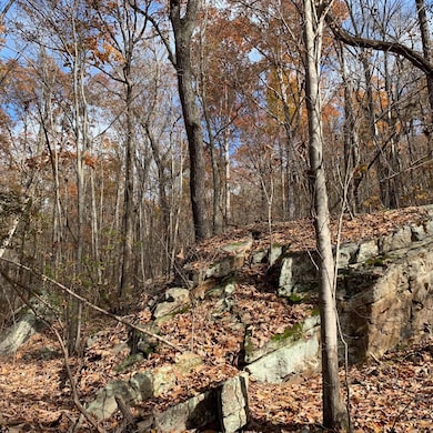 WhatsApp Image 2024-08-06 at 3.24.38 AM-