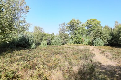 1021 Surry Rd, Surry, ME 04684 - photo 4