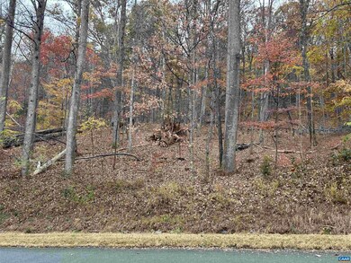 355 Stone Chimneys Rd unit 26, Nellysford, VA 22958 - photo 5