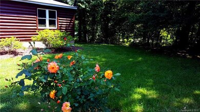 Flowering bush in front of house