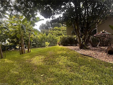 View of grassy yard