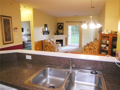 603 Aqua Marine Blvd unit 3, Avon Lake, OH 44012 - photo 6