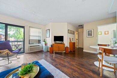 59-69 Msgr Patrick j Lydon Way unit 204, Boston, MA 02124 - photo 3