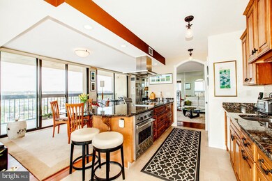 Alexandria House unit 1603, Alexandria, VA 22314 - photo 4