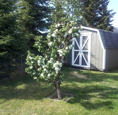 Apple Tree 1