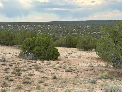 171 E Witch Well Ranches -- unit 171, Saint Johns, AZ 85936 - photo 3