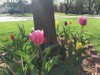 You will see these in your front yard next spring!