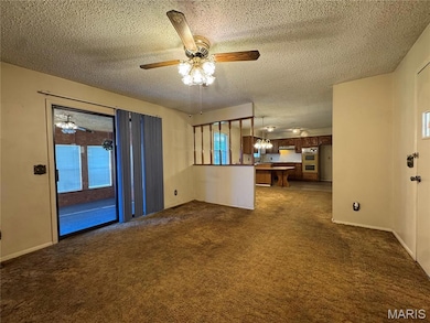 363 Harrison Ln, Poplar Bluff, MO 63901 - photo 6