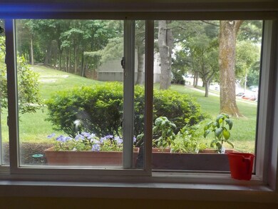 36 Jacqueline Rd unit B, Waltham, MA 02452 - photo 5