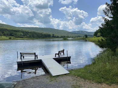 lot 42 Bobcat Rd, Davis, WV 26260 - photo 6