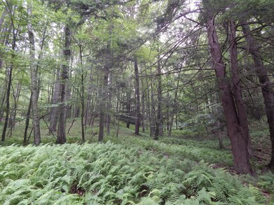 Woodlot