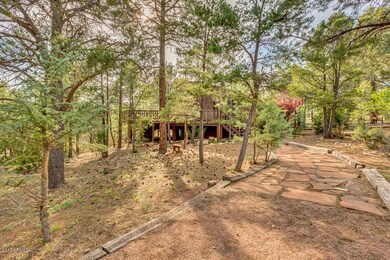 02-Lodgepole