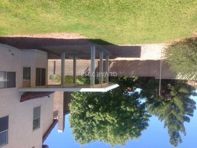 Yard/Garden. Large pool sized l;ot!
